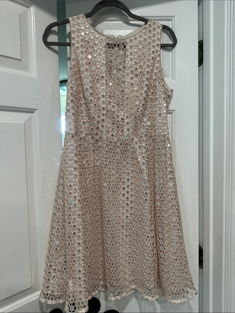 Nanette Lepore Shimmer Shine dress will dazzle at any event!